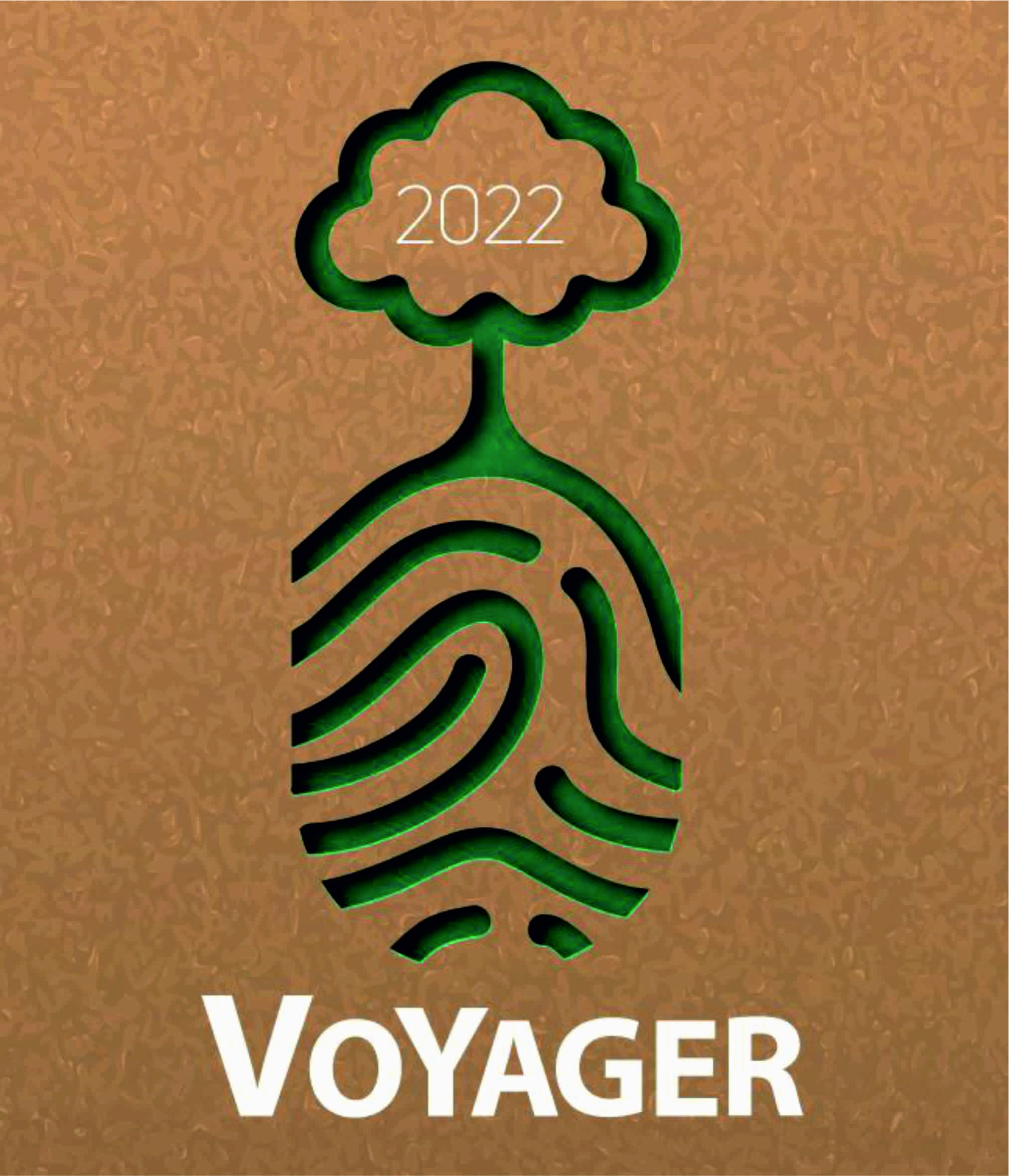 Voyager 22